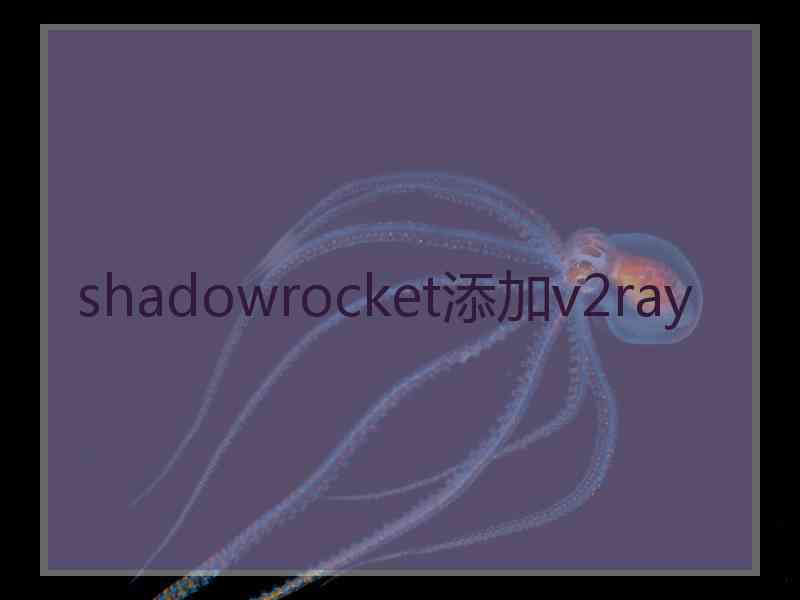 shadowrocket添加v2ray