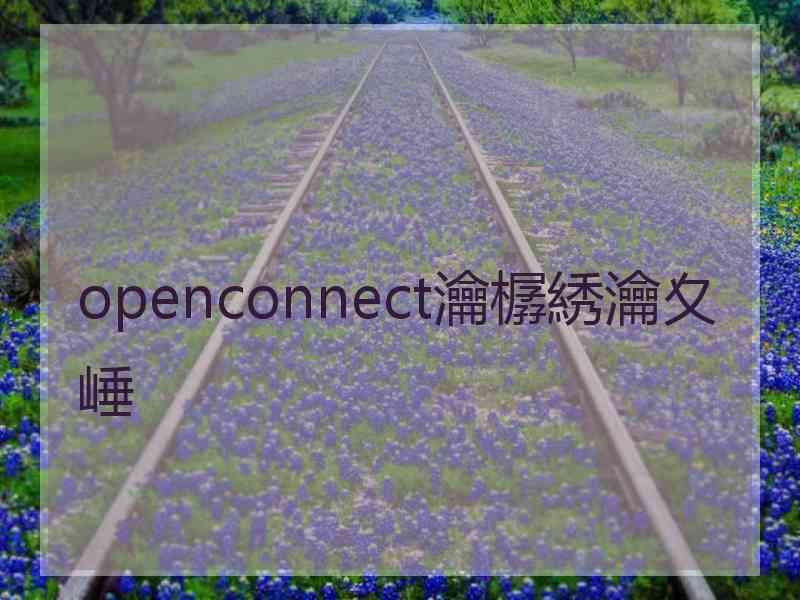 openconnect瀹樼綉瀹夊崜
