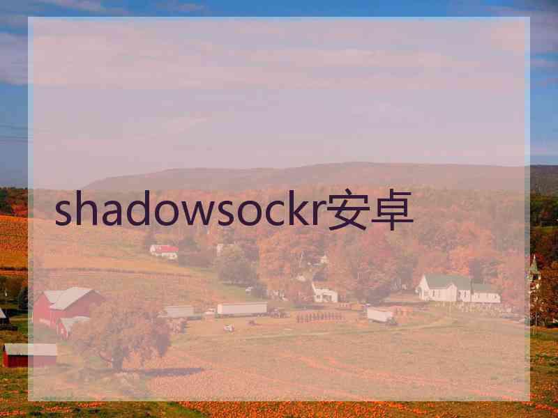 shadowsockr安卓