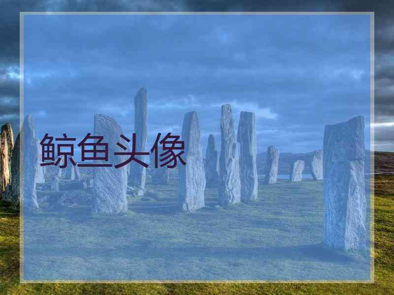 鲸鱼头像 鲸鱼头像