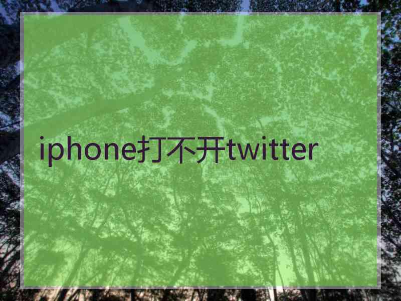 iphone打不开twitter