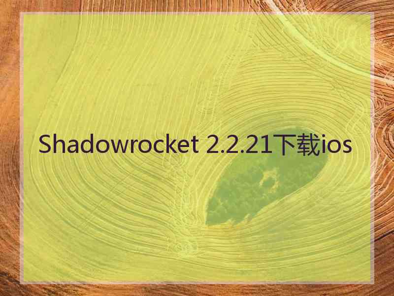 Shadowrocket 2.2.21下载ios