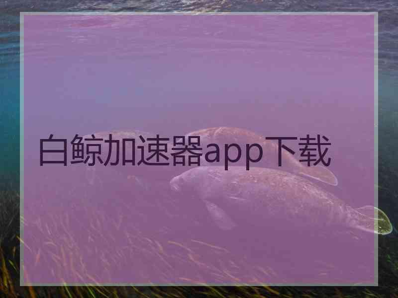 白鲸加速器app下载