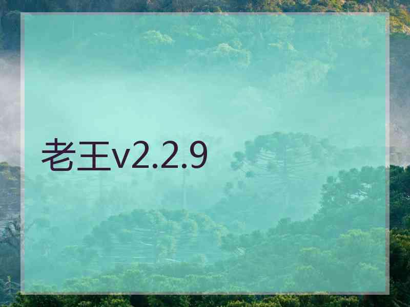 老王v2.2.9