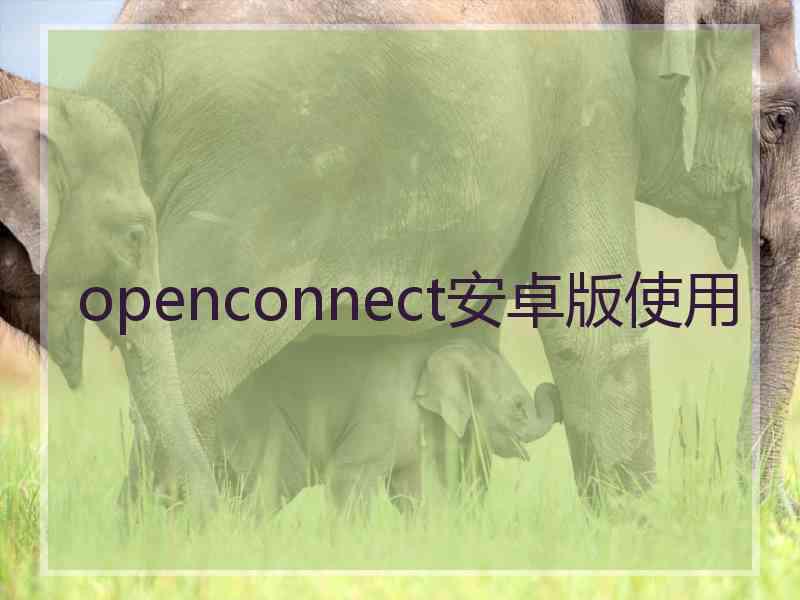 openconnect安卓版使用