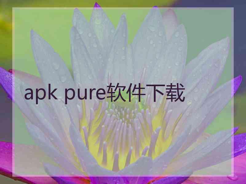 apk pure软件下载