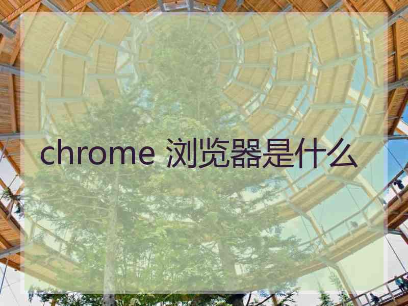 chrome 浏览器是什么
