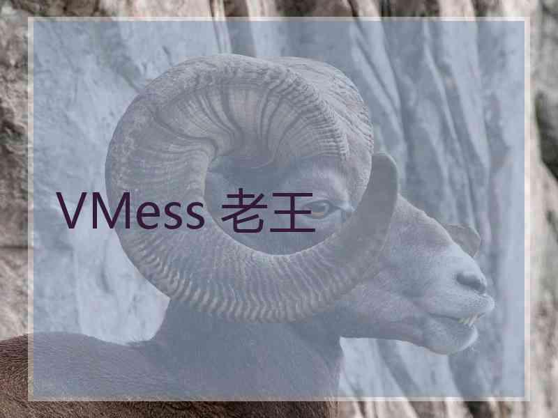VMess 老王