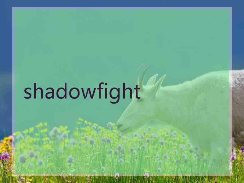 shadowfight