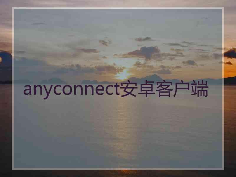 anyconnect安卓客户端