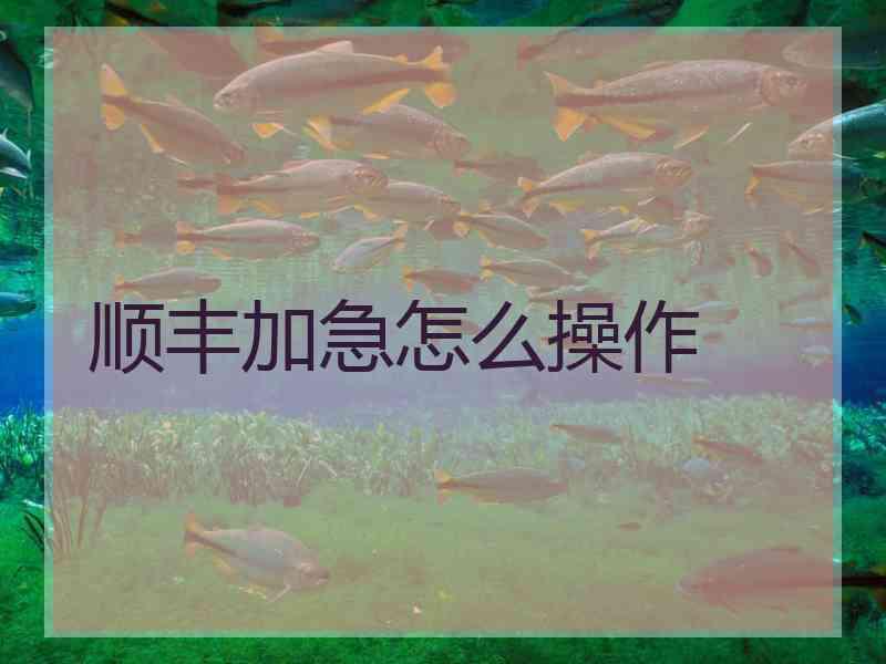 顺丰加急怎么操作