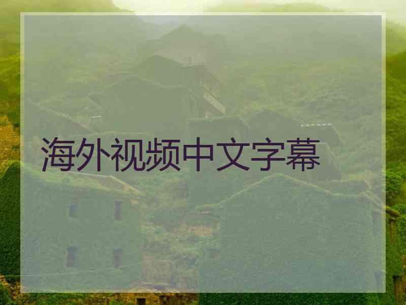 海外视频中文字幕