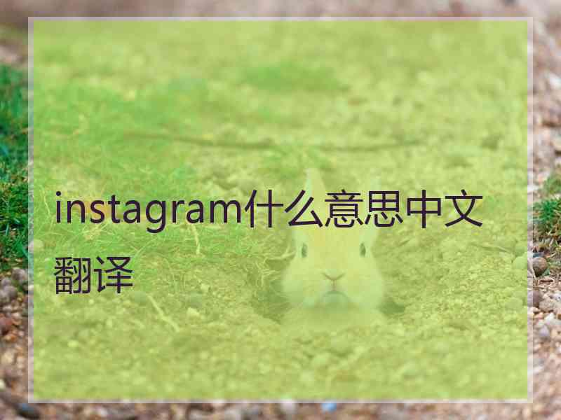 instagram什么意思中文翻译