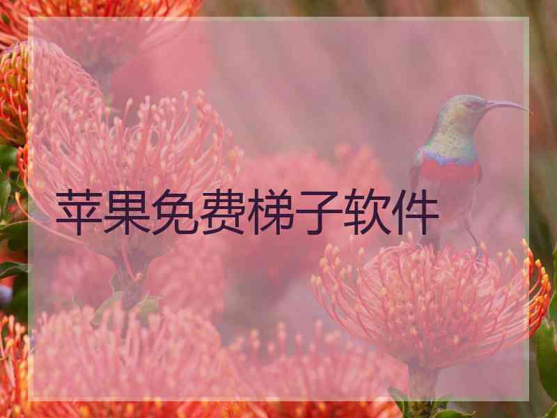 苹果免费梯子软件