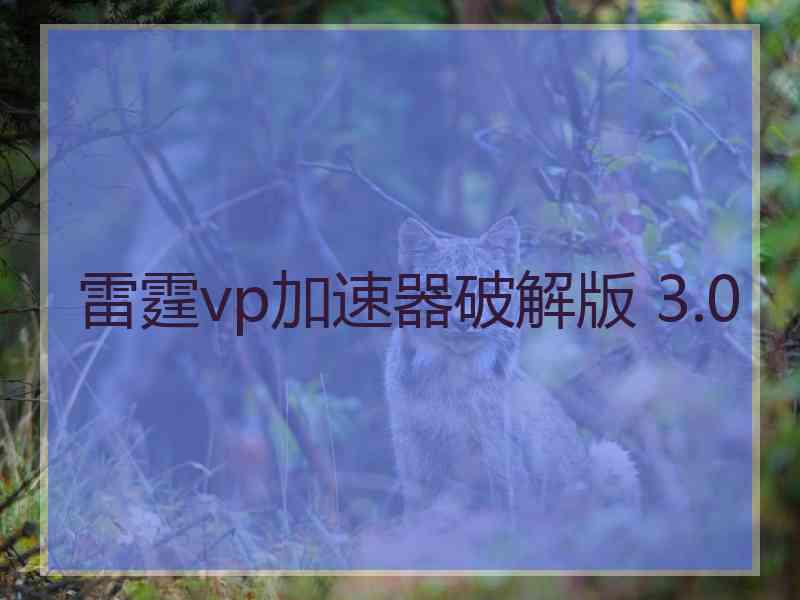 雷霆vp加速器破解版 3.0