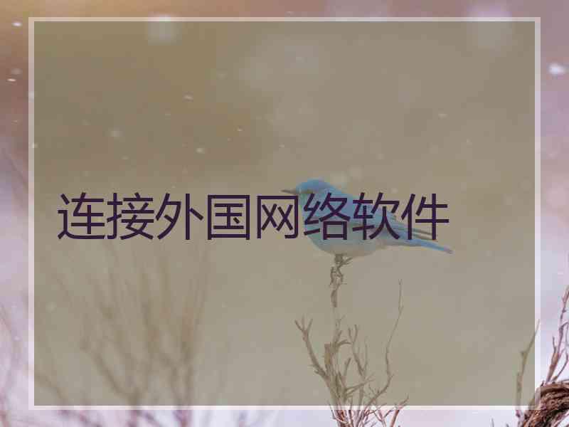 连接外国网络软件