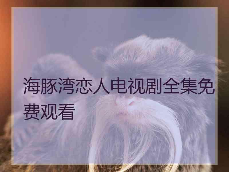 海豚湾恋人电视剧全集免费观看