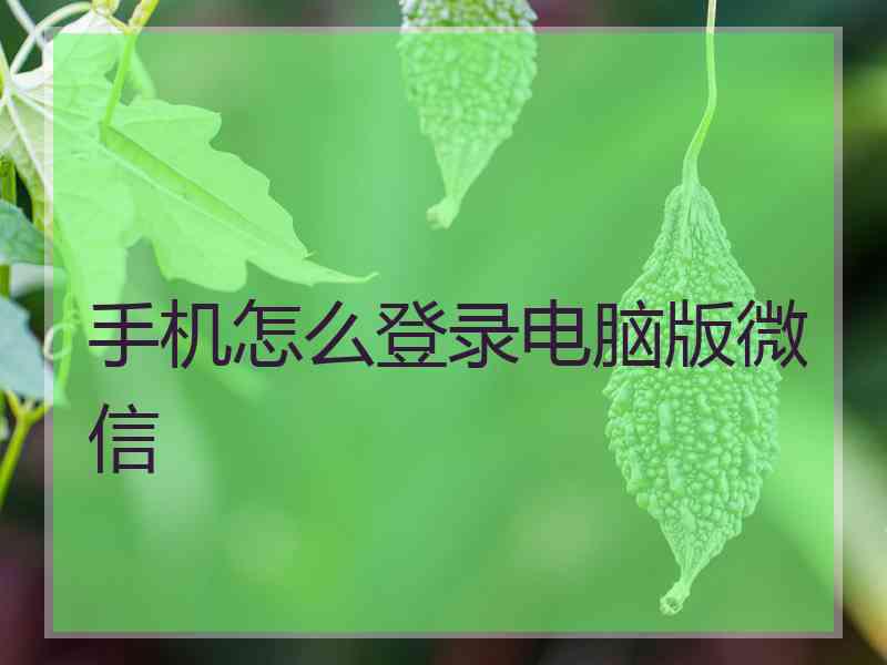 手机怎么登录电脑版微信