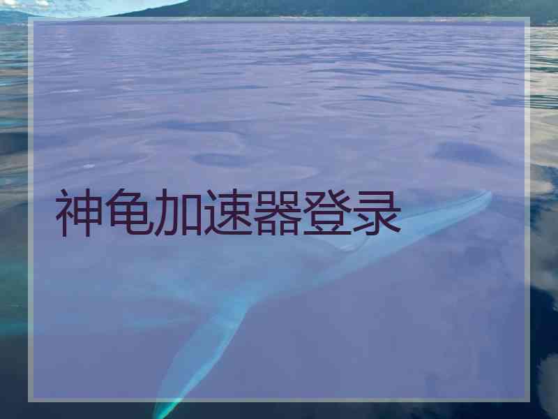 神龟加速器登录
