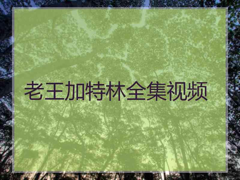老王加特林全集视频