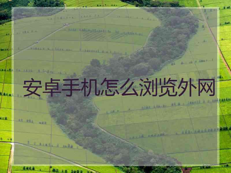 安卓手机怎么浏览外网