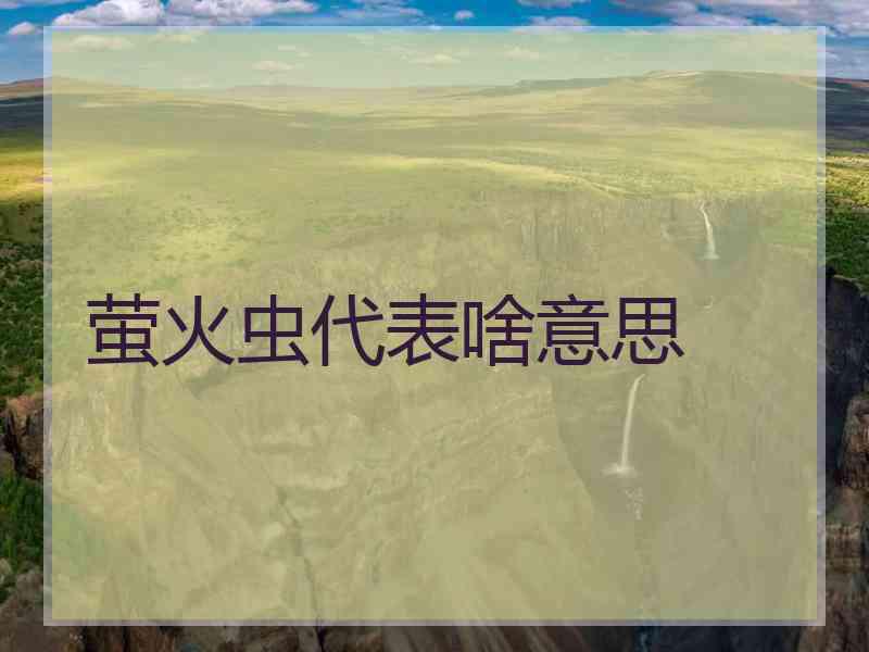 萤火虫代表啥意思