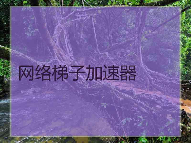 网络梯子加速器