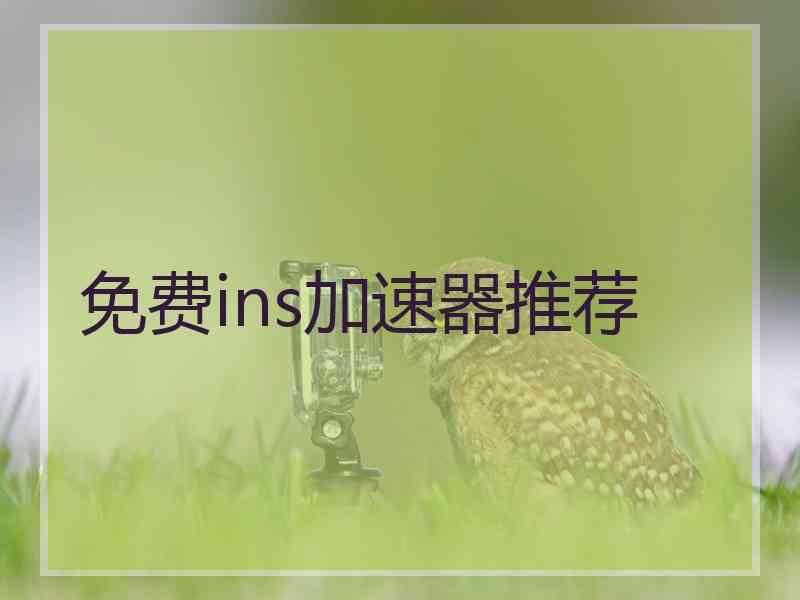 免费ins加速器推荐