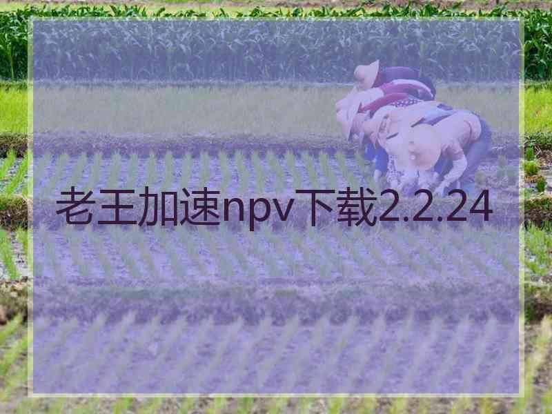 老王加速npv下载2.2.24