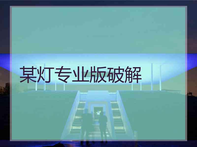 某灯专业版破解