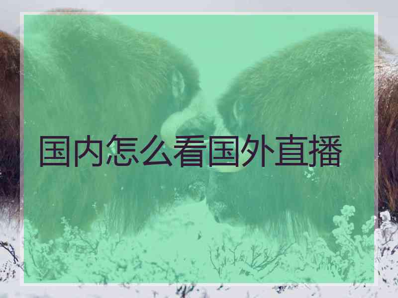 国内怎么看国外直播