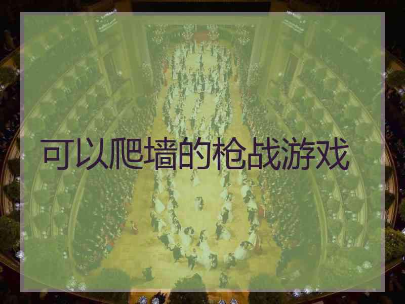 可以爬墙的枪战游戏