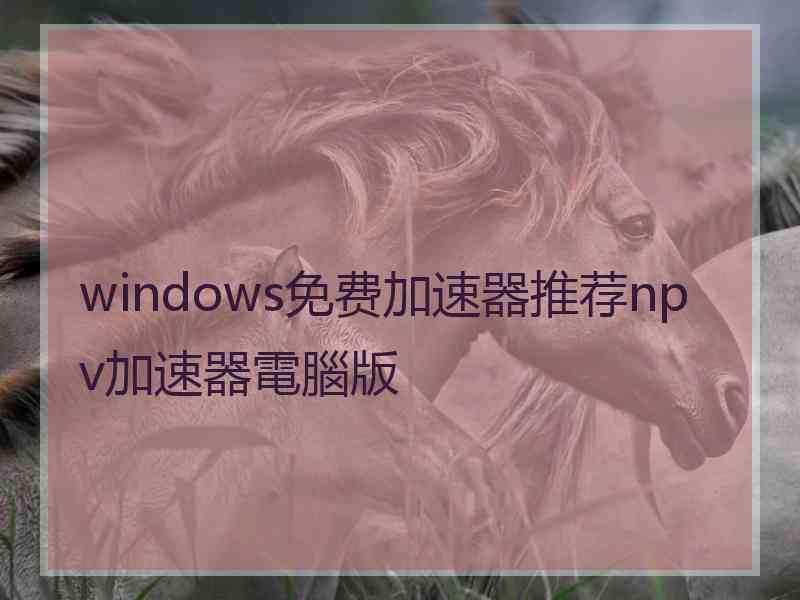 windows免费加速器推荐npv加速器電腦版