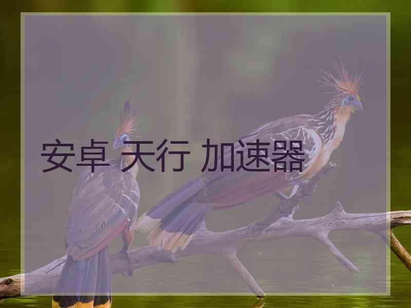安卓 天行 加速器