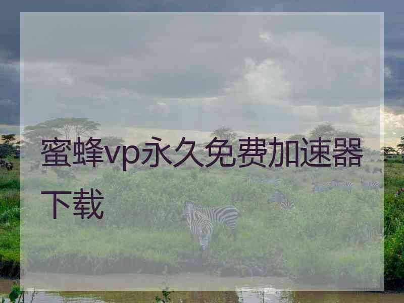 蜜蜂vp永久免费加速器下载