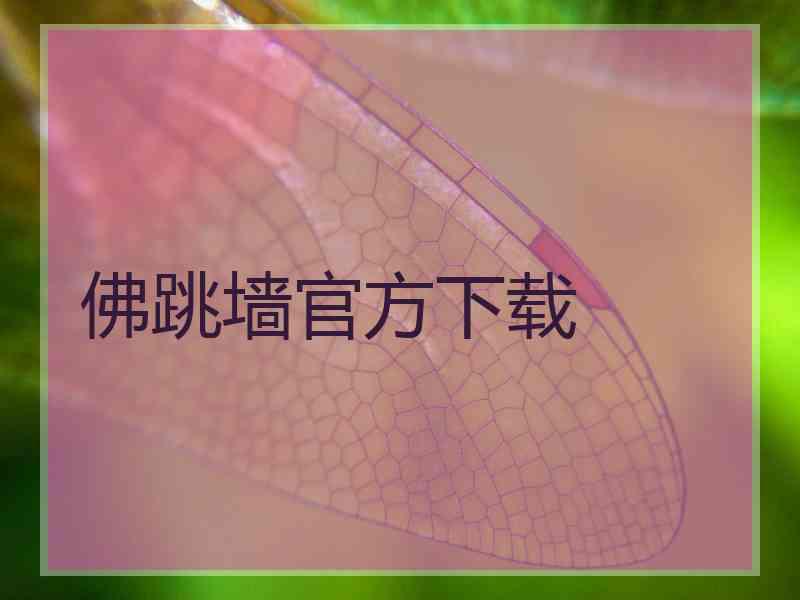 佛跳墙官方下载