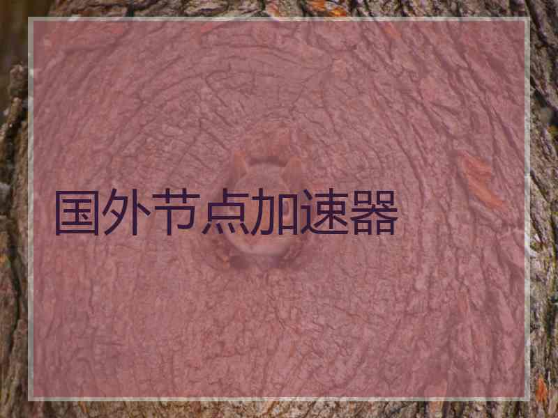 国外节点加速器