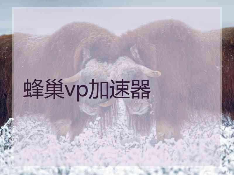 蜂巢vp加速器