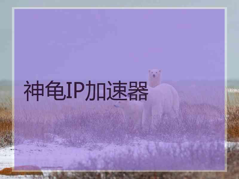 神龟IP加速器