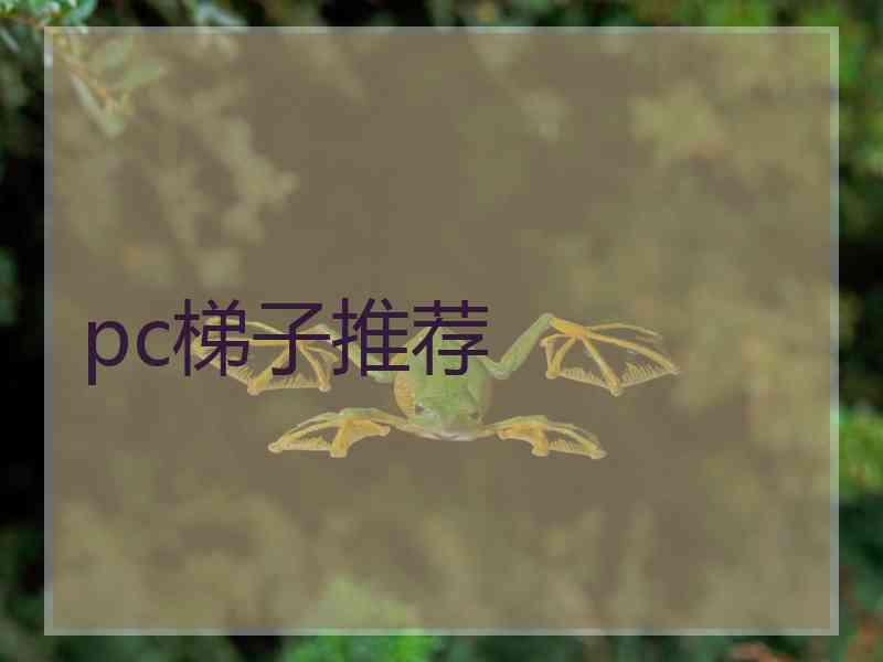 pc梯子推荐