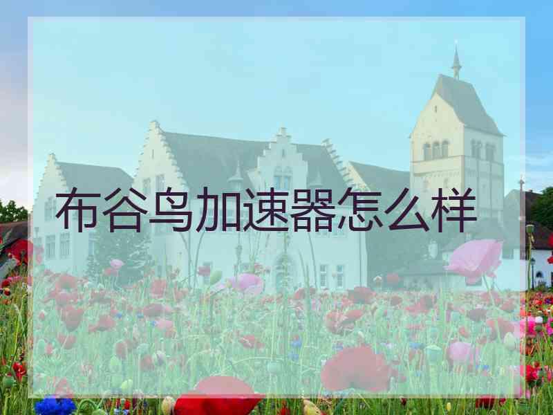 布谷鸟加速器怎么样
