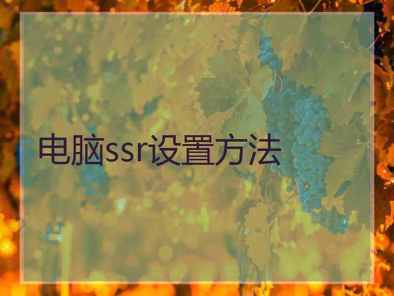 电脑ssr设置方法