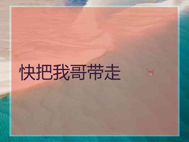 快把我哥带走