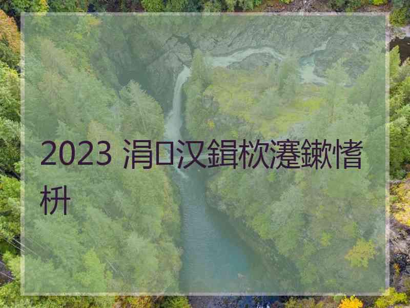 2023 涓汉鍓栨瀽鏉愭枡