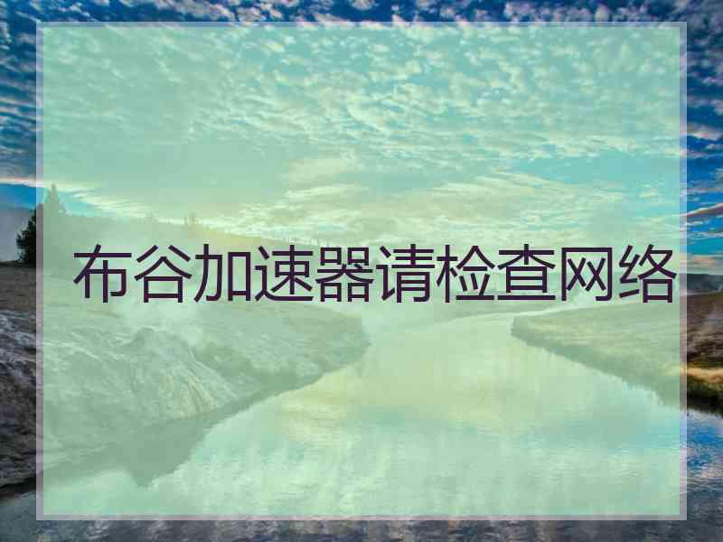 布谷加速器请检查网络