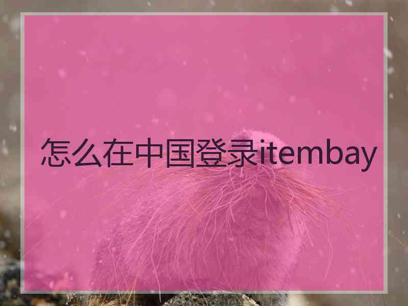 怎么在中国登录itembay