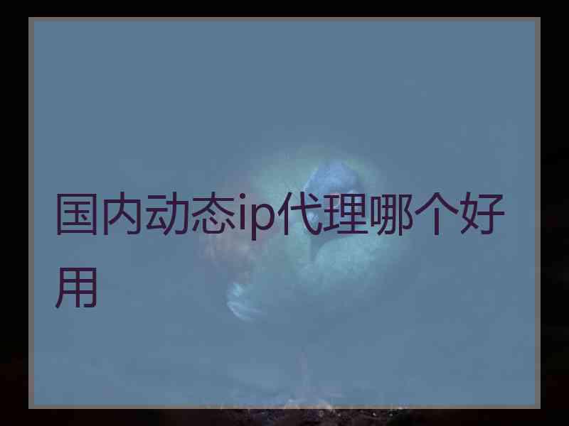 国内动态ip代理哪个好用