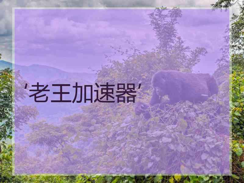 ‘老王加速器’