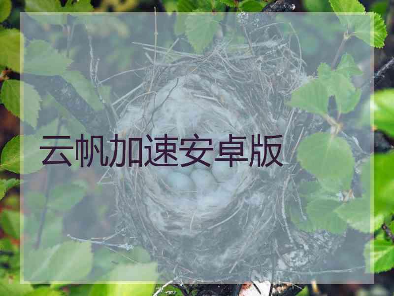 云帆加速安卓版