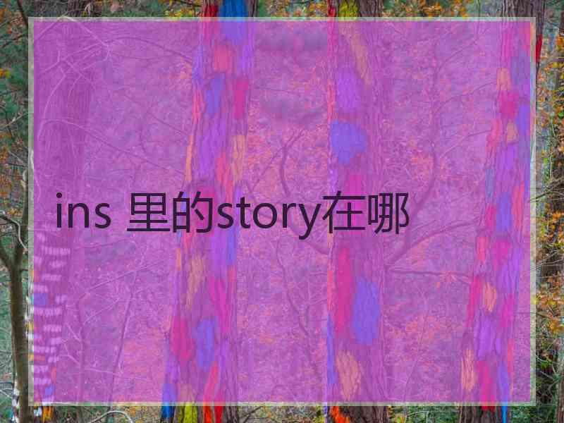 ins 里的story在哪